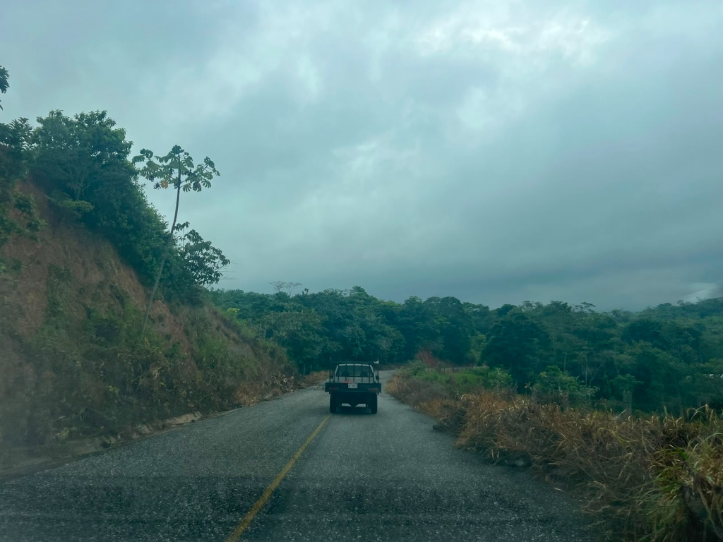 Carretera y selva