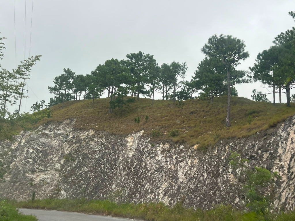 Rocas y árboles en territorio Chimalapa