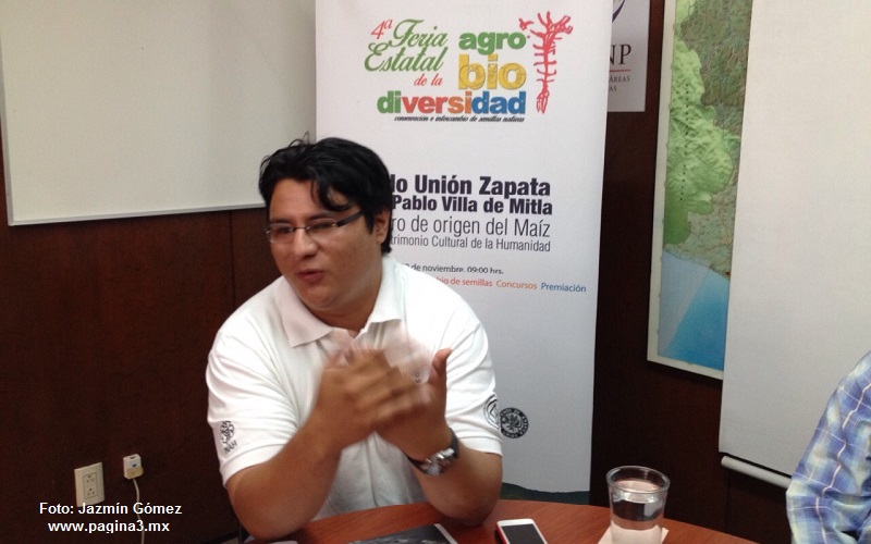 Oaxaca tiene el 70% de razas de maíz existentes en el país: Conanp