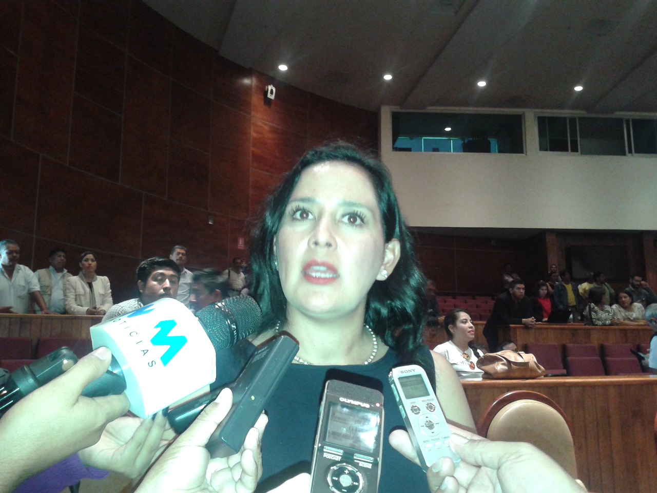 Reto el consenso entre fracciones parlamentarias para tener Ley Educativa en Oaxaca: Leslie Jiménez