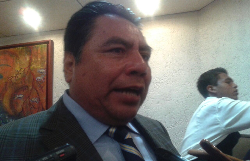 Sagarpa destinó 80MDP a sector cafetalero, pero campos están devastados por plagas 