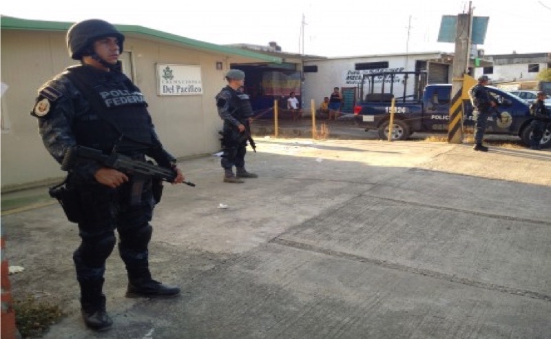 Hallan 61 cadáveres y extremidades humanas en crematorio abandonado de Guerrero
