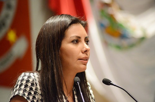 La libertad de expresión es fundamental en un estado democrático: diputada Alejandra García Morlan