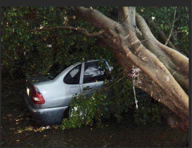 Consejo Municipal de Protección Civil, atiende a población luego de la lluvia de este martes