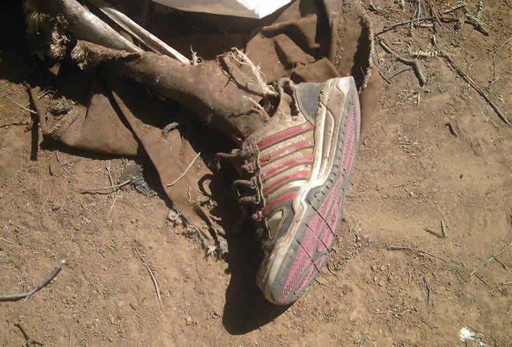 En tres meses, 12 oaxaqueños han desaparecido en el cruce de la frontera norte: IOAM
