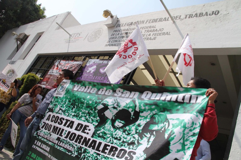 Por acción global por San Quintín, protestan frente a delegación de la Secretaría de Trabajo