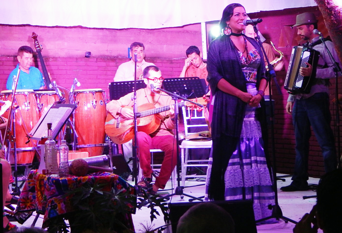 Agradecen Lila Downs y Fondo Guadalupe Musalem apoyo de donantes