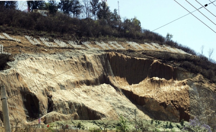En 8 años el Cerro del Fortín perdió 10 hectáreas