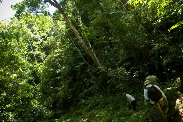 Piden intervención del gobierno de Chiapas para liberar a cuatro campesinos capturados por comuneros de Santa María Chimalapas