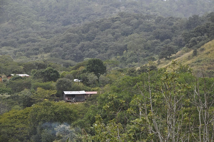 Comuneros chimas denuncian incendio en selva, aseguran brigadas no han hecho nada