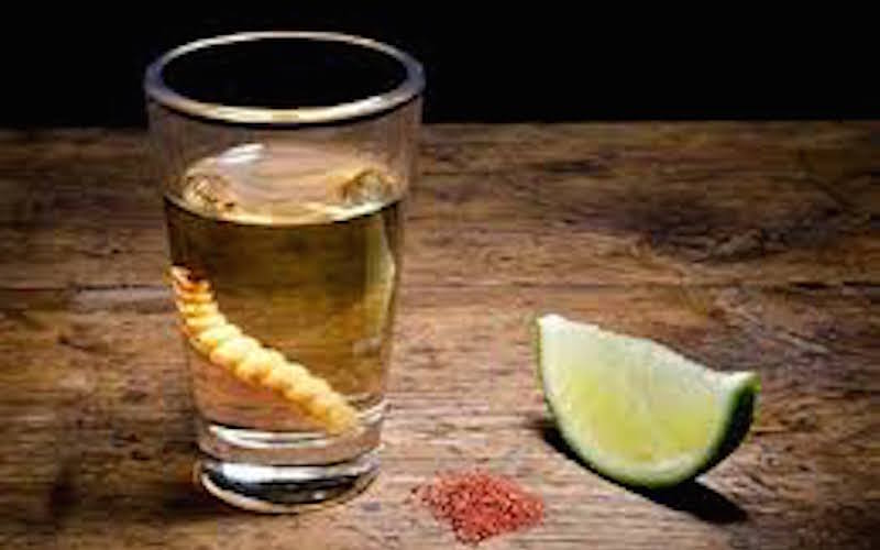 Crece gusto por mezcal en Nueva York, Madrid y Barcelona