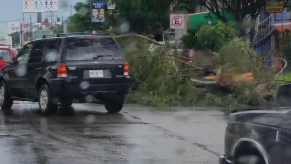 Xoxo refuerza acciones para prevenir inundaciones por lluvias