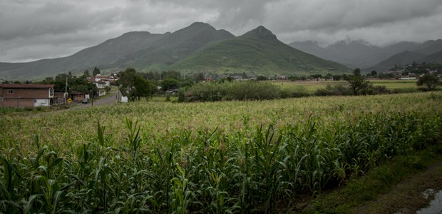 Van por defensa de proyectos estratégicos del campo oaxaqueño en San Lázaro