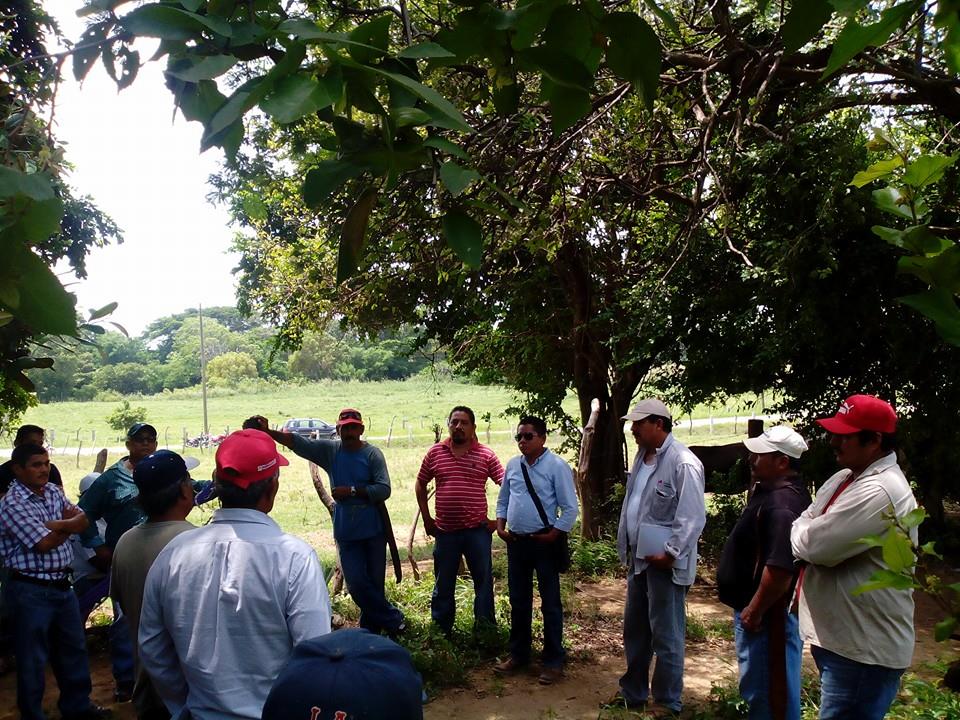 A un mes del derrame, afectados aseguran que Pemex minimiza afectaciones