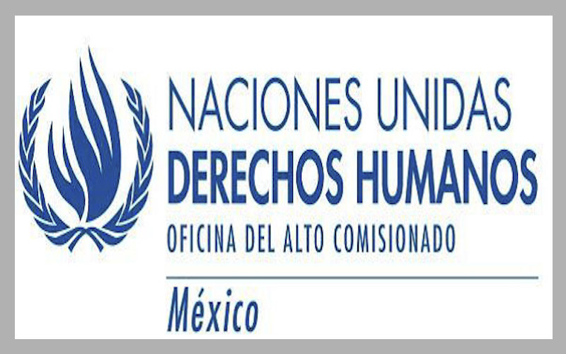 Padece gobierno de Peña “intolerancia a la crítica”: ONU-DH