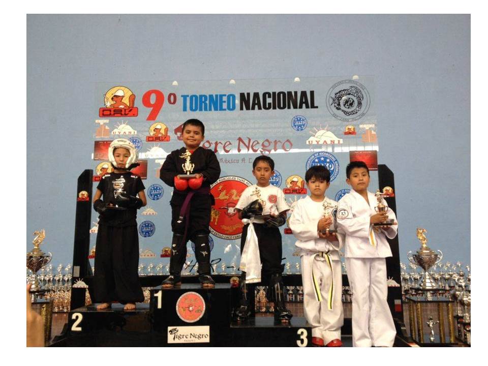 Exitosa participación de alumnos de la Escuela de Artes y Oficios en torneos de Artes Marciales