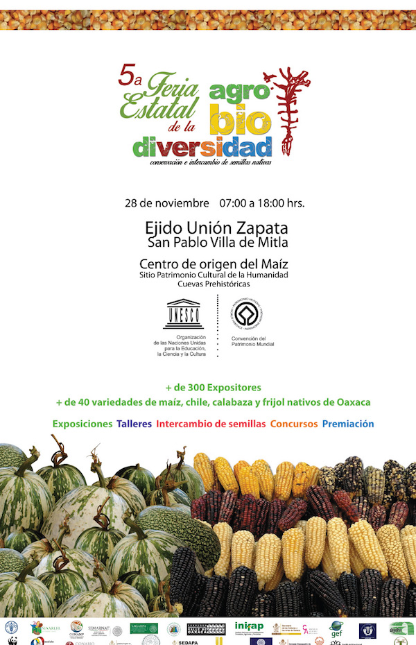 Invitan a Feria de la Agro Biodiversidad en Mitla
