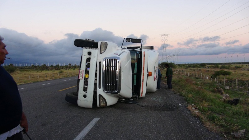 Fuertes vientos derriban tráiler, señaléticas y árboles en el Istmo