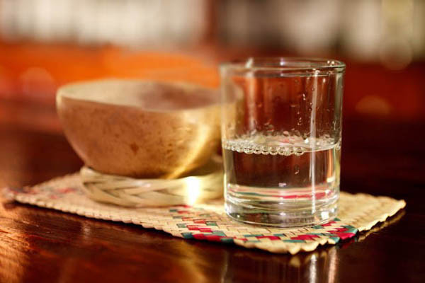 Peña Nieto pretende dar el tiro de gracia al mezcal con norma 199 y apoyar trasnacionales del tequila