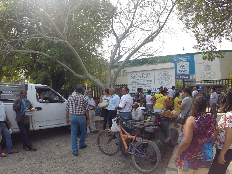 Insisten productores de sorgo y maíz en pago de siniestro ante SAGARPA