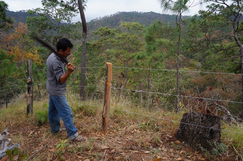 Zoques dan ultimátum a Cué para desalojar a invasores
