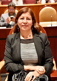 Solicita Juanita Cruz declarar el año 2017 Centenario de la Constitución Política de México