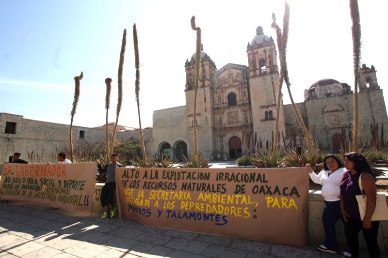 Activista que apoyó obra del CCCO en el cerro del Fortín, pide creación de Secretaría del Medio Ambiente