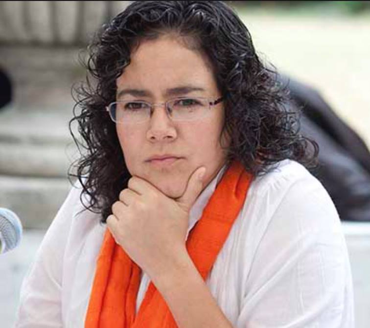 Llama candidata a enriquecer la Constitución CDMX
