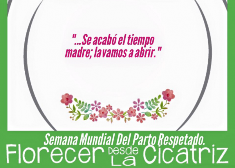 Crean apoyo ante cesáreas innecesarias