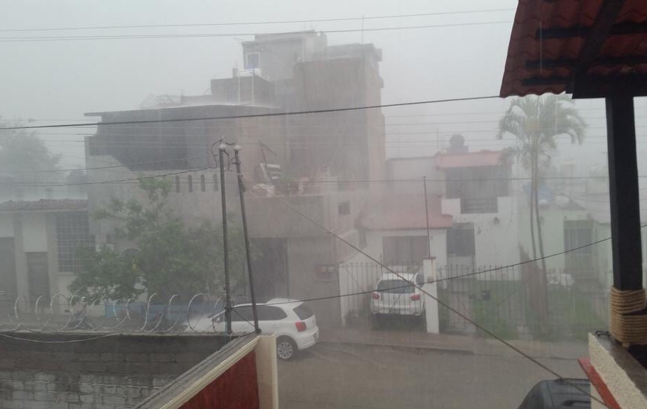 Árboles caídos en Zona Metropolitana de Oaxaca dejan lluvias