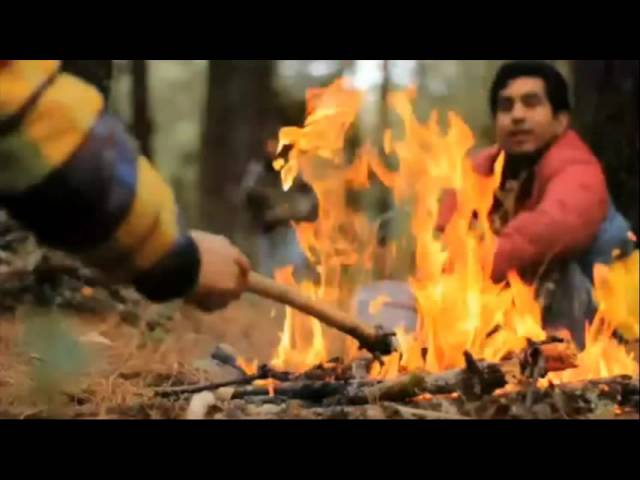 Medidas de Prevención: Incendios Forestales