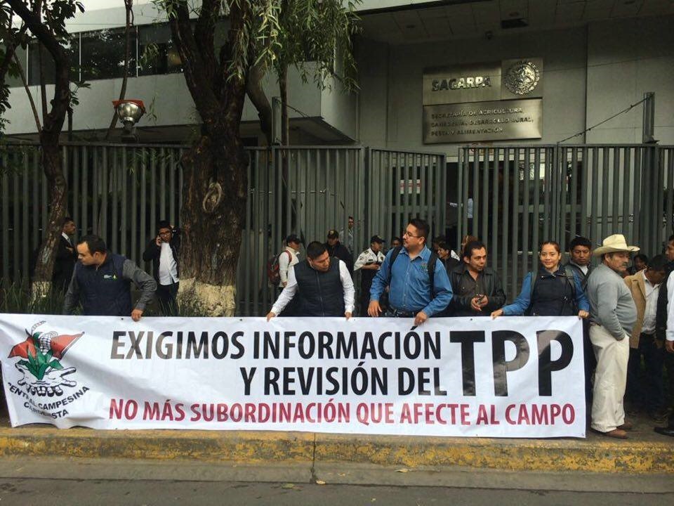 Colapsa el campo con recorte de 7 mil 205 mdp; agrava crisis en ganadería, cafeticultura y pesca