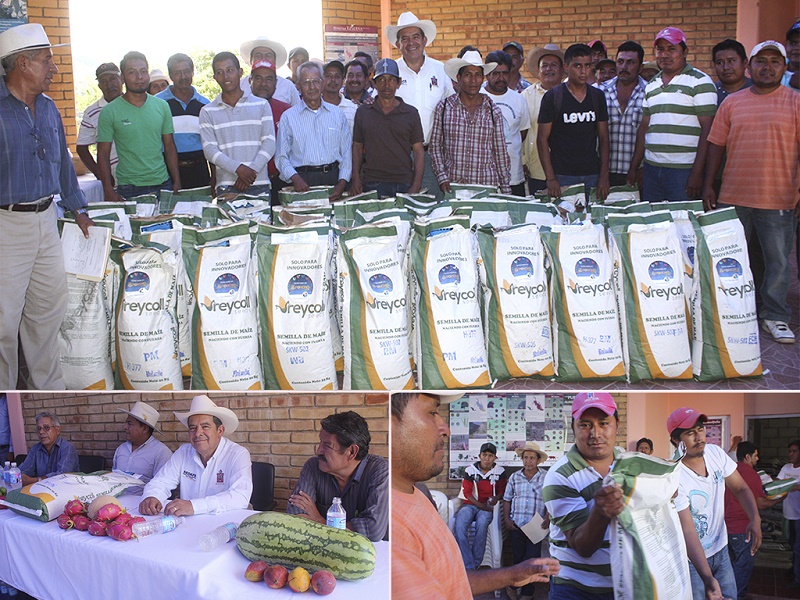Reciben productores de la Cañada 285 bultos de semilla de maíz mejorada
