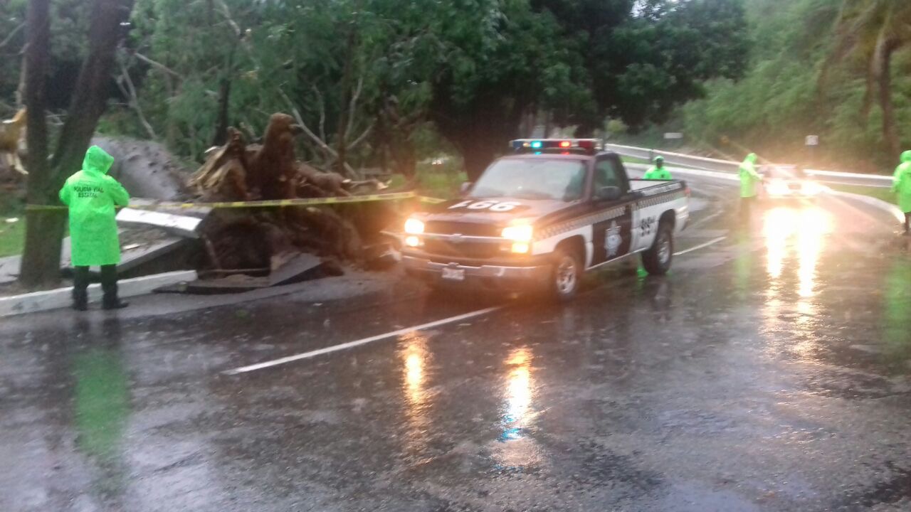 Deslaves en las carreteras federales 200 y 185