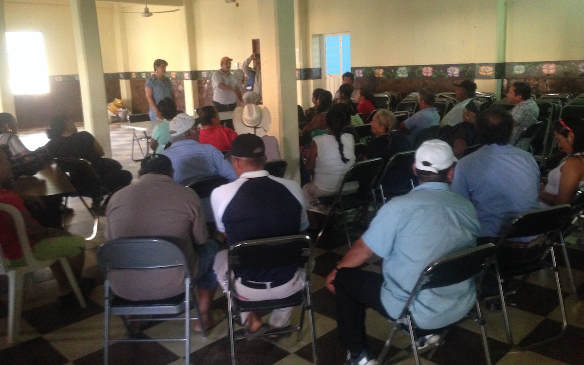 Sorgueros reciben póliza de seguro  agrícola, aseguran es el principio para mejorar el campo istmeño