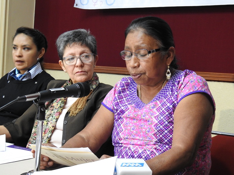 ONG´s, vigilantes de agenda de género de las mujeres en la LXIII Legislatura