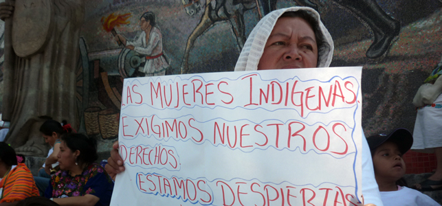 Piden consultar a indígenas antes de proyectos en zonas naturales