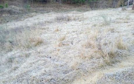 Comunidad El Vergel en Oaxaca se congela