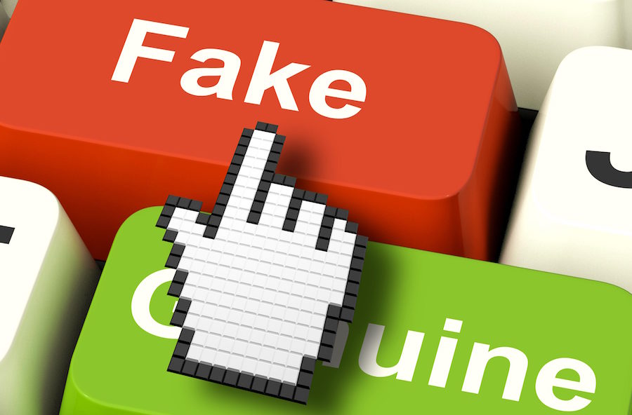 Las redes sociales se han vuelto ingobernables: OEA
