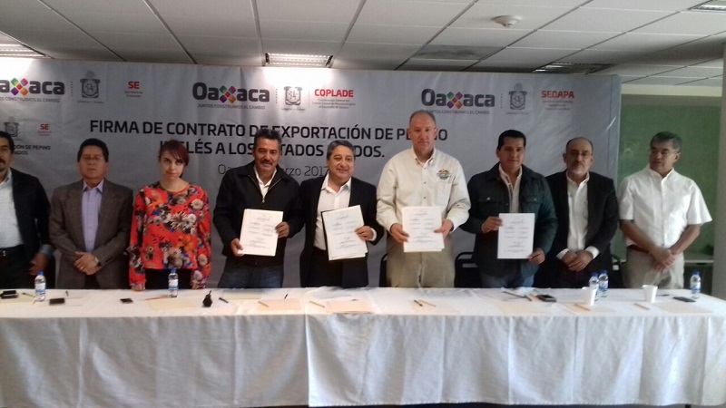 Exportará Oaxaca pepino inglés a Estados Unidos