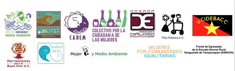 Omisión estatal fomenta la violencia política contra las mujeres en Oaxaca