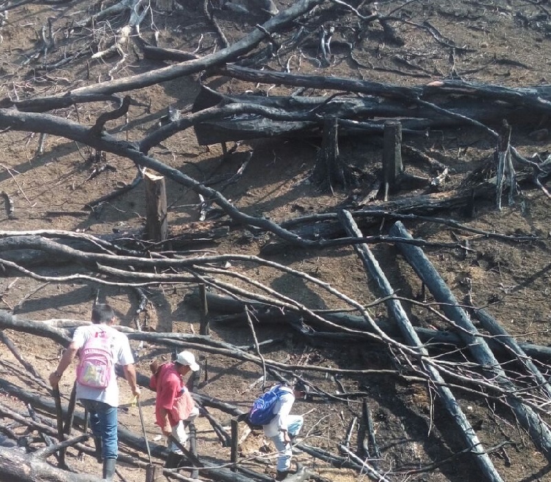 Ultimátum de comuneros zoques a gobierno de Oaxaca