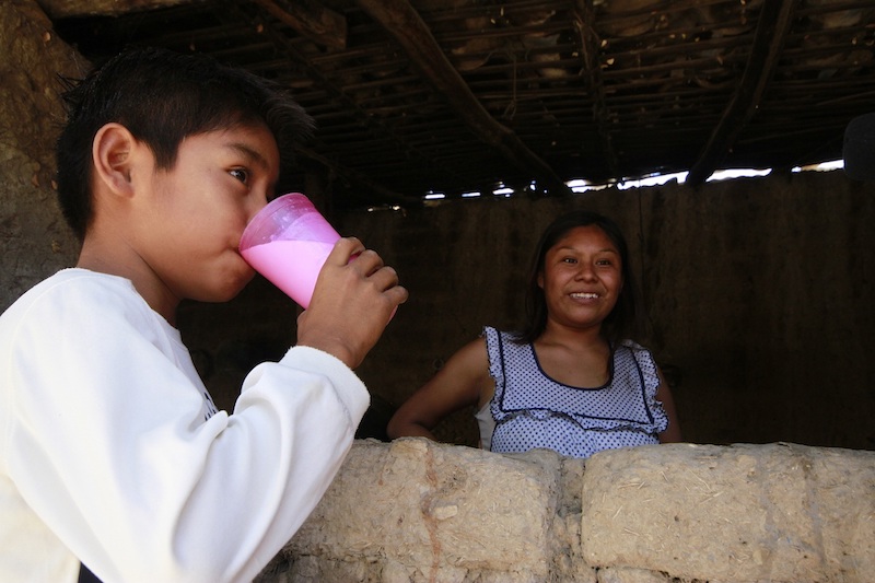 Liconsa ya puede incluir adolescentes varones en padrón de beneficiarios