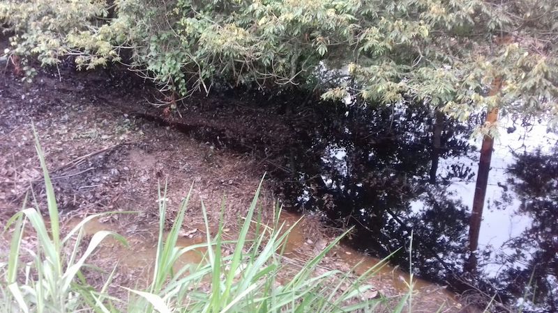 Exigen a Pemex controlar derrame  de hidrocarburo que contaminó arroyo y parcelas en el Istmo