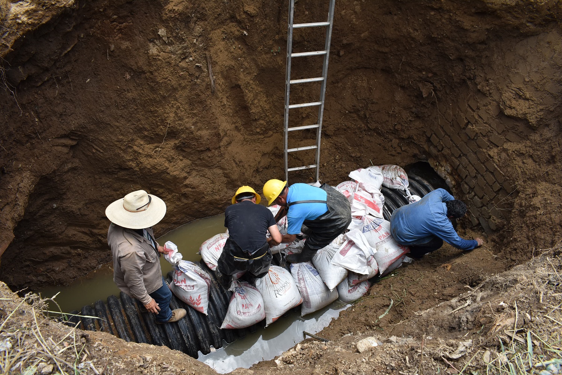 Repara SAPAO colector sanitario en colonia Satélite
