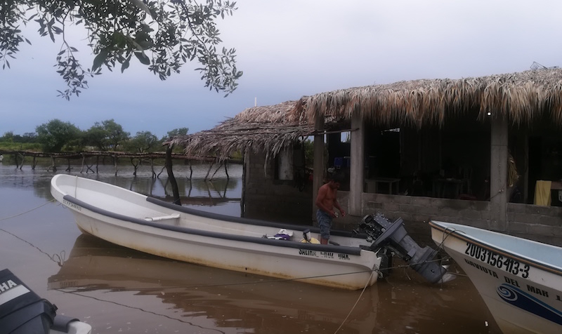Fuertes oleajes afectan a pescadores y comerciantes de Playa Vicente