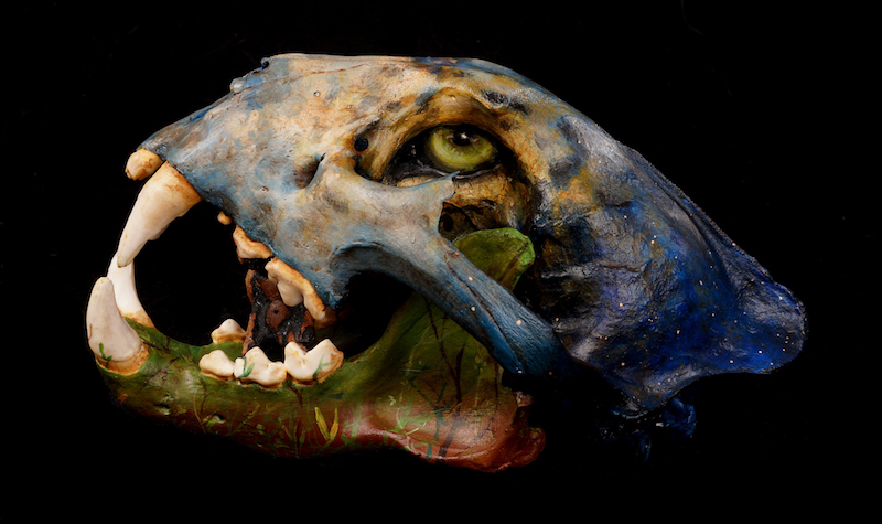 Artistas plásticos de Oaxaca encabezan expo-subasta “Jaguar 16 + 1”