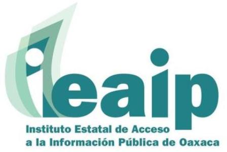 Desaparecen 350 mil euros financiados por Unión Europea y Gobierno Federal al IEAIP