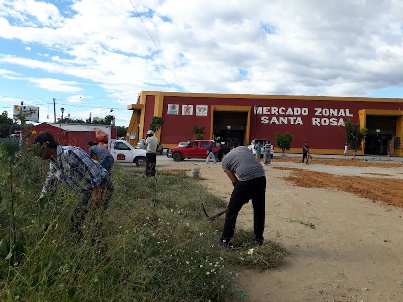 Realizan acciones de limpieza y seguridad en mercados de Abasto y Zonal Santa Rosa