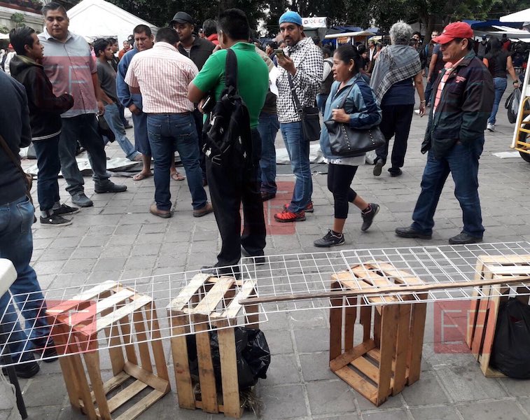 Maestros piden a su dirigencia no simular paros ni plantones; mientras toman crucero a aeropuerto y Hacienda Blanca